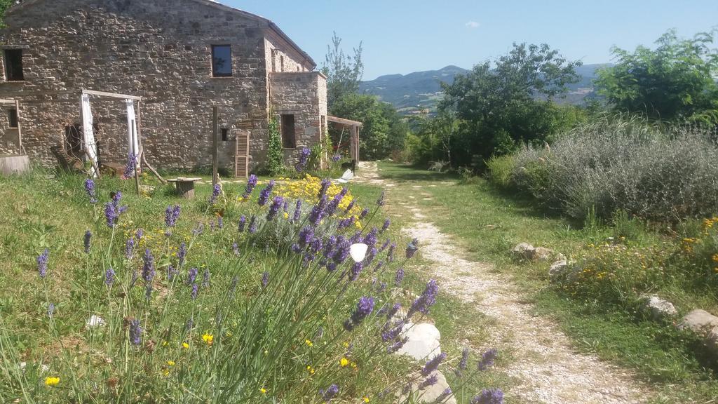 Sasso Erminia R&B Ecosostenibile Novafeltria Dış mekan fotoğraf